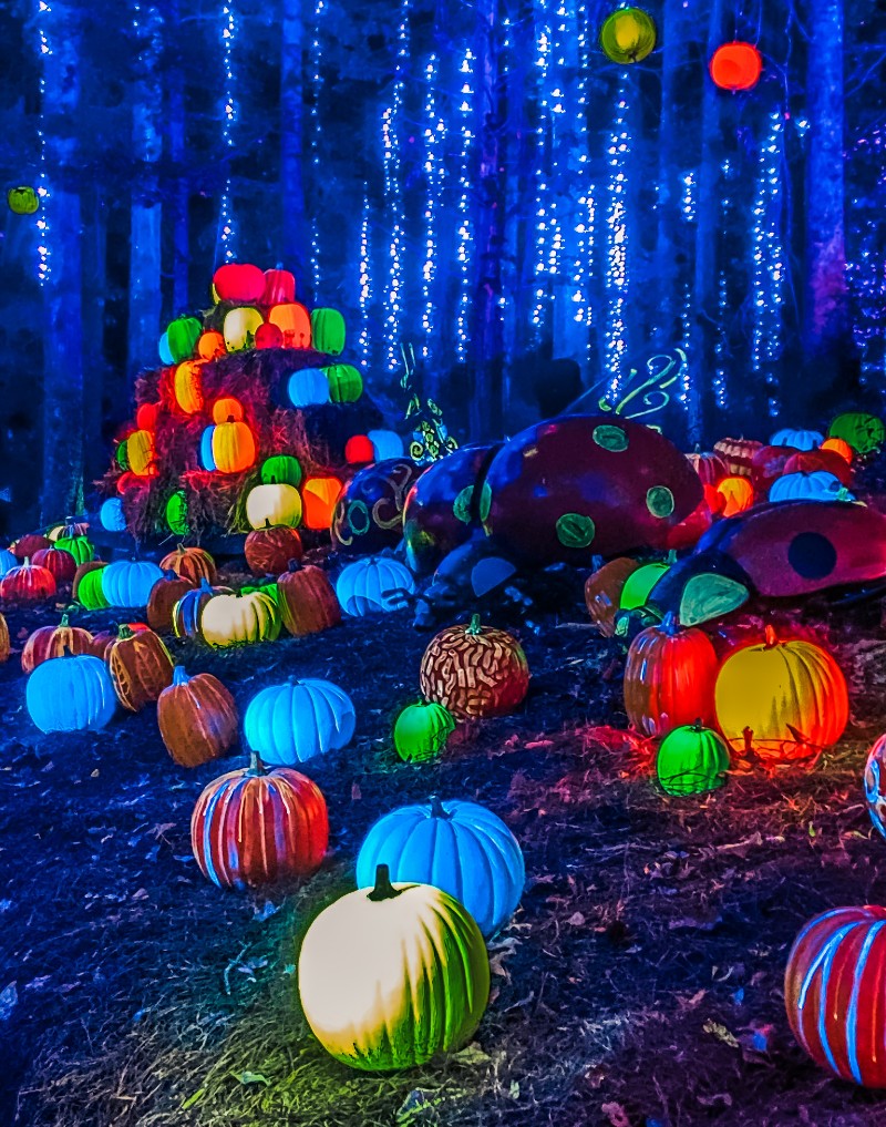 glow in the dark pumpkins