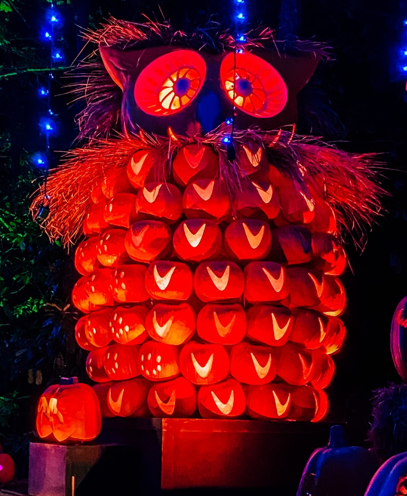 owl out of pumpkins