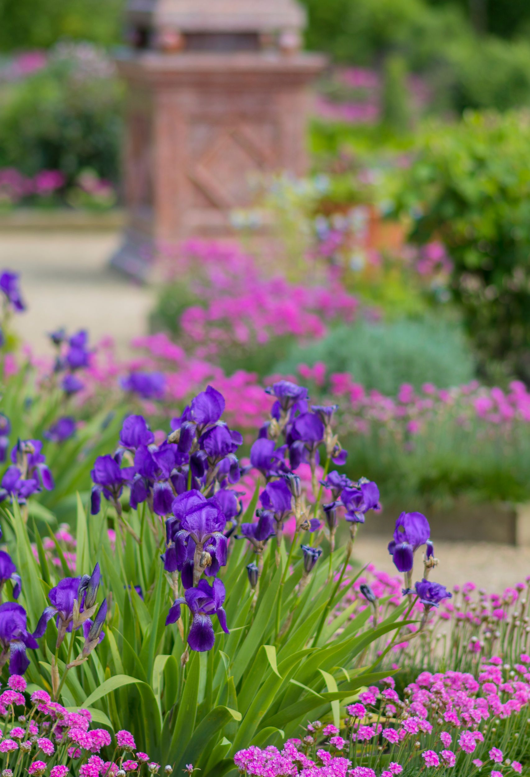 3 Affordable Ways To Upgrade Your Garden