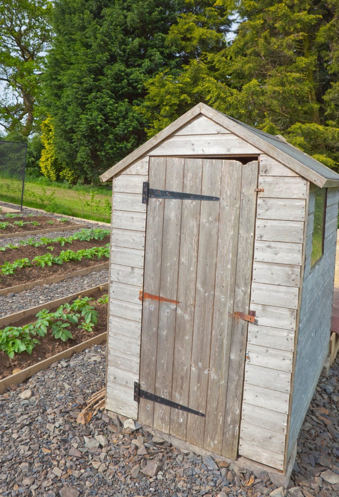 Best Types of Garden Sheds for the Narrow Backyards