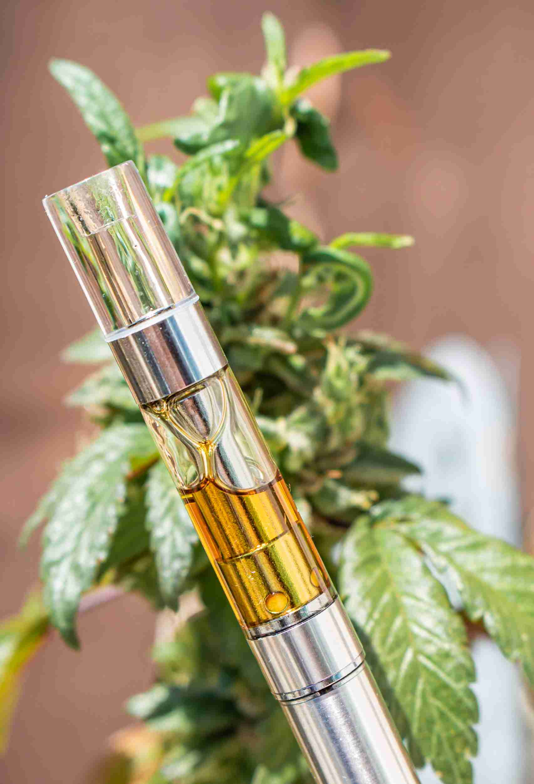 A look at Cannabis Vapor Pen sales trends