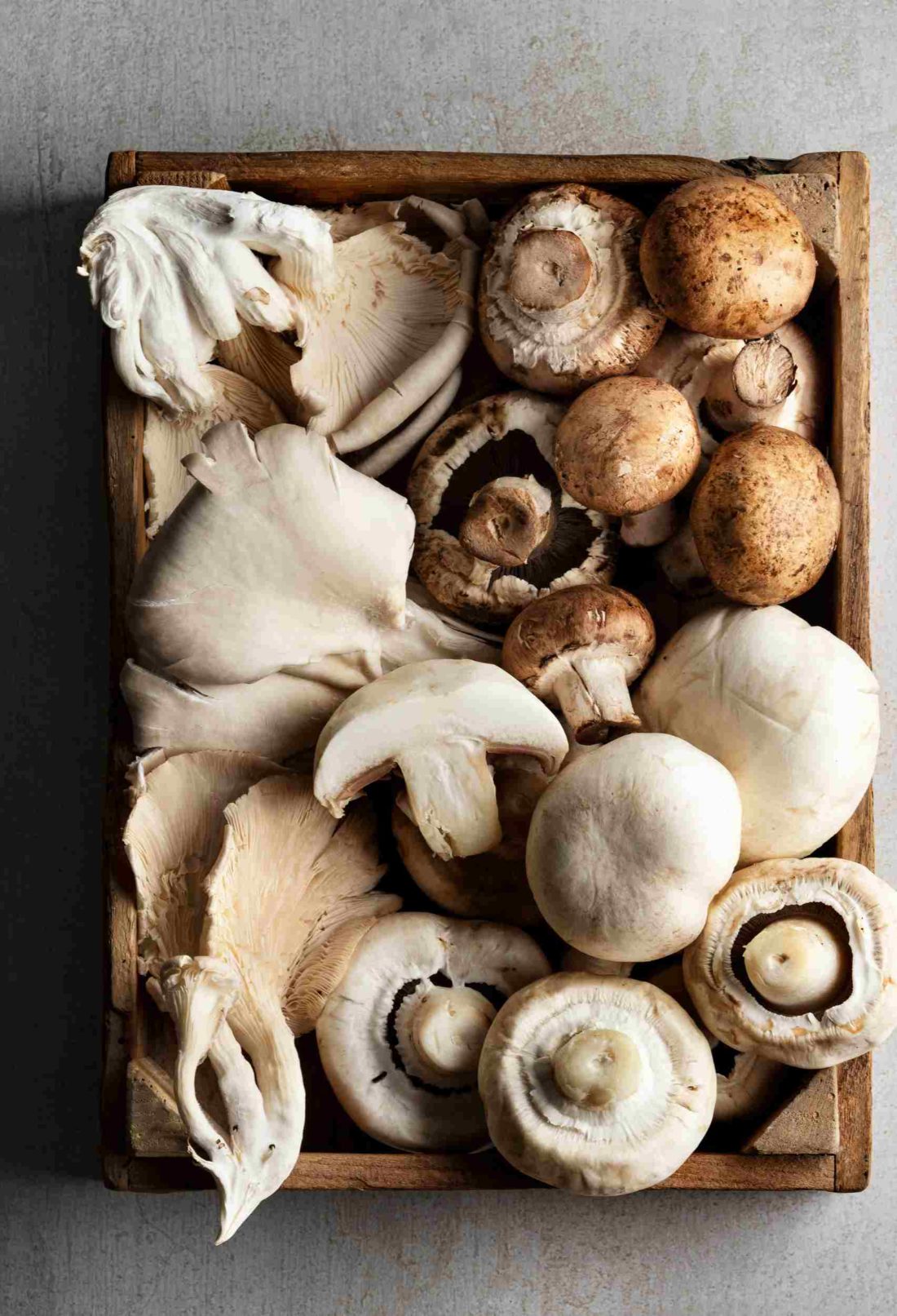 The Wonders of Healing Mushrooms The Best Picks for Natural Microdosing