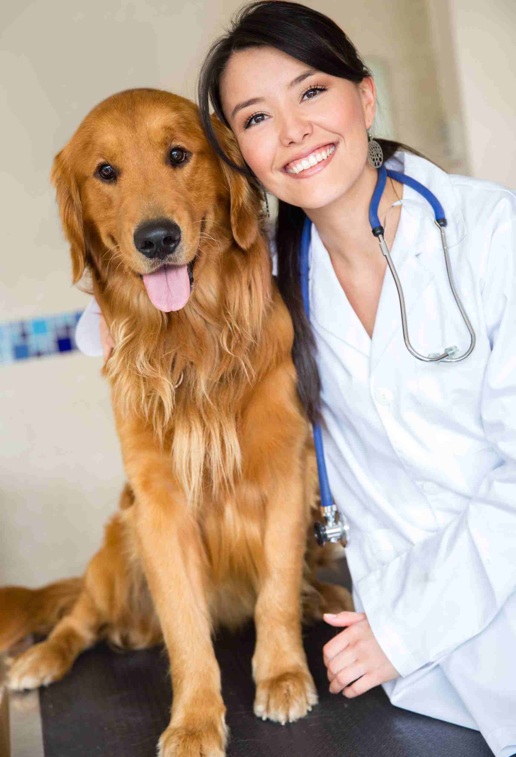 Dog Health Conditions for New Owners to Be Aware Of