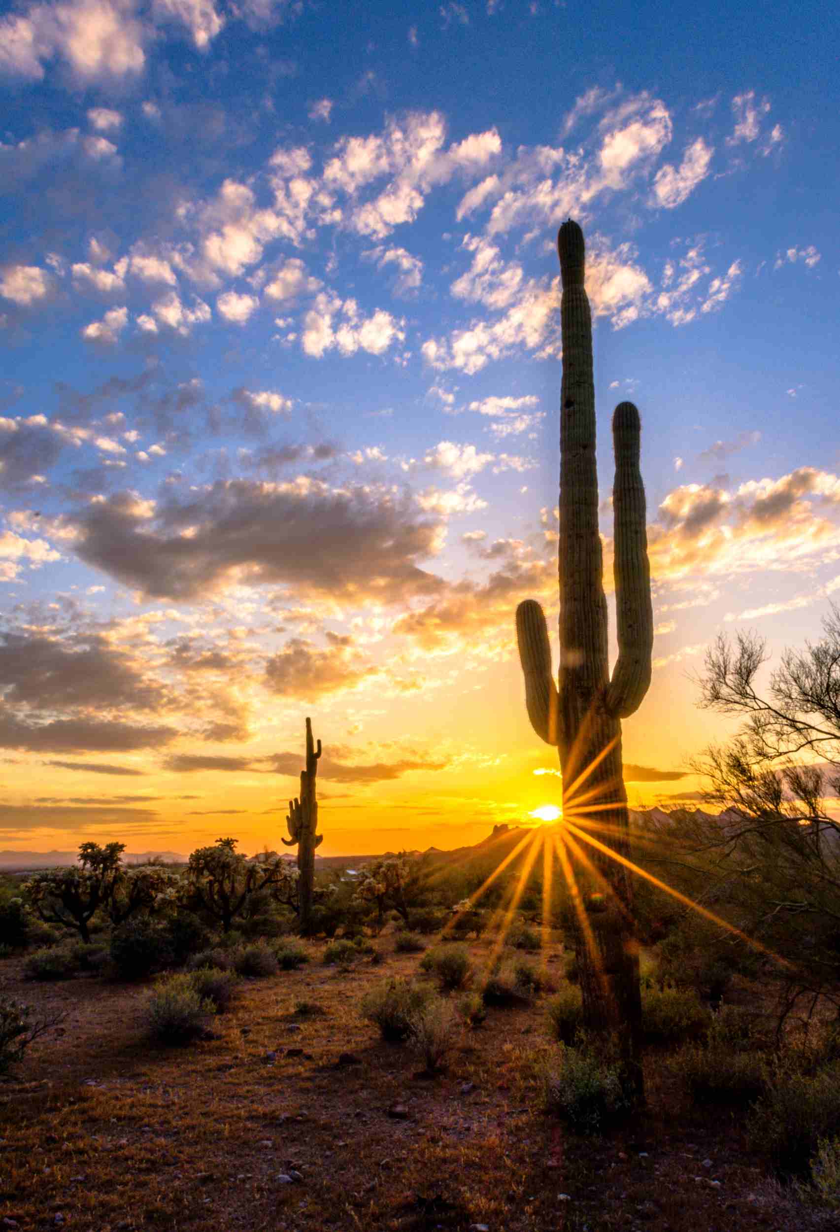 5 Amazing Things to Experience in Tolleson, Arizona