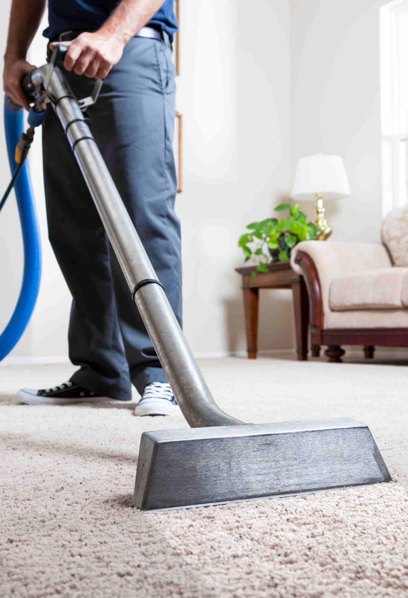 Transform Your Space: How Perth's Best Carpet Cleaning Services Can Revitalise Your Home
