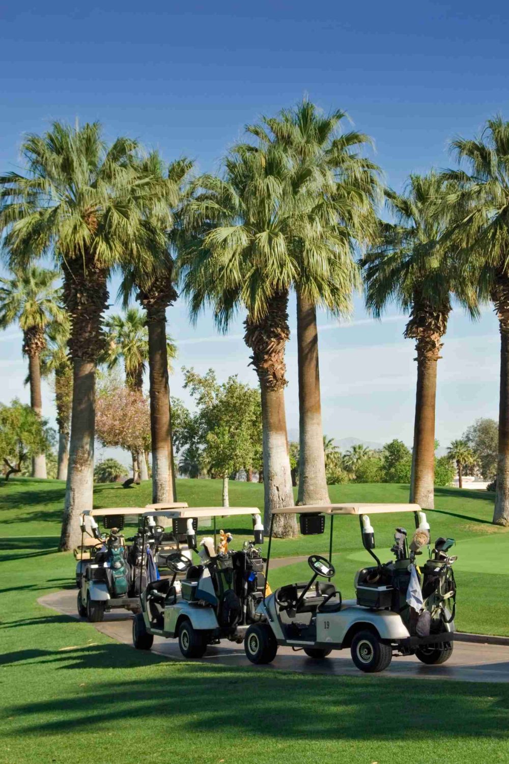 All About Golf Community Living A Paradise for Golf Enthusiasts