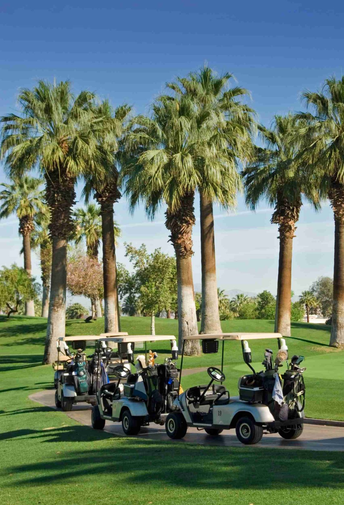 All About Golf Community Living A Paradise for Golf Enthusiasts