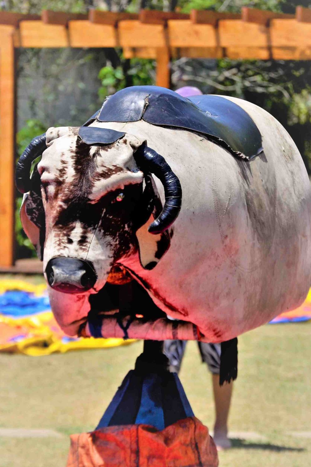 Read This Before You Buy a Mechanical Bull for Your Small Business