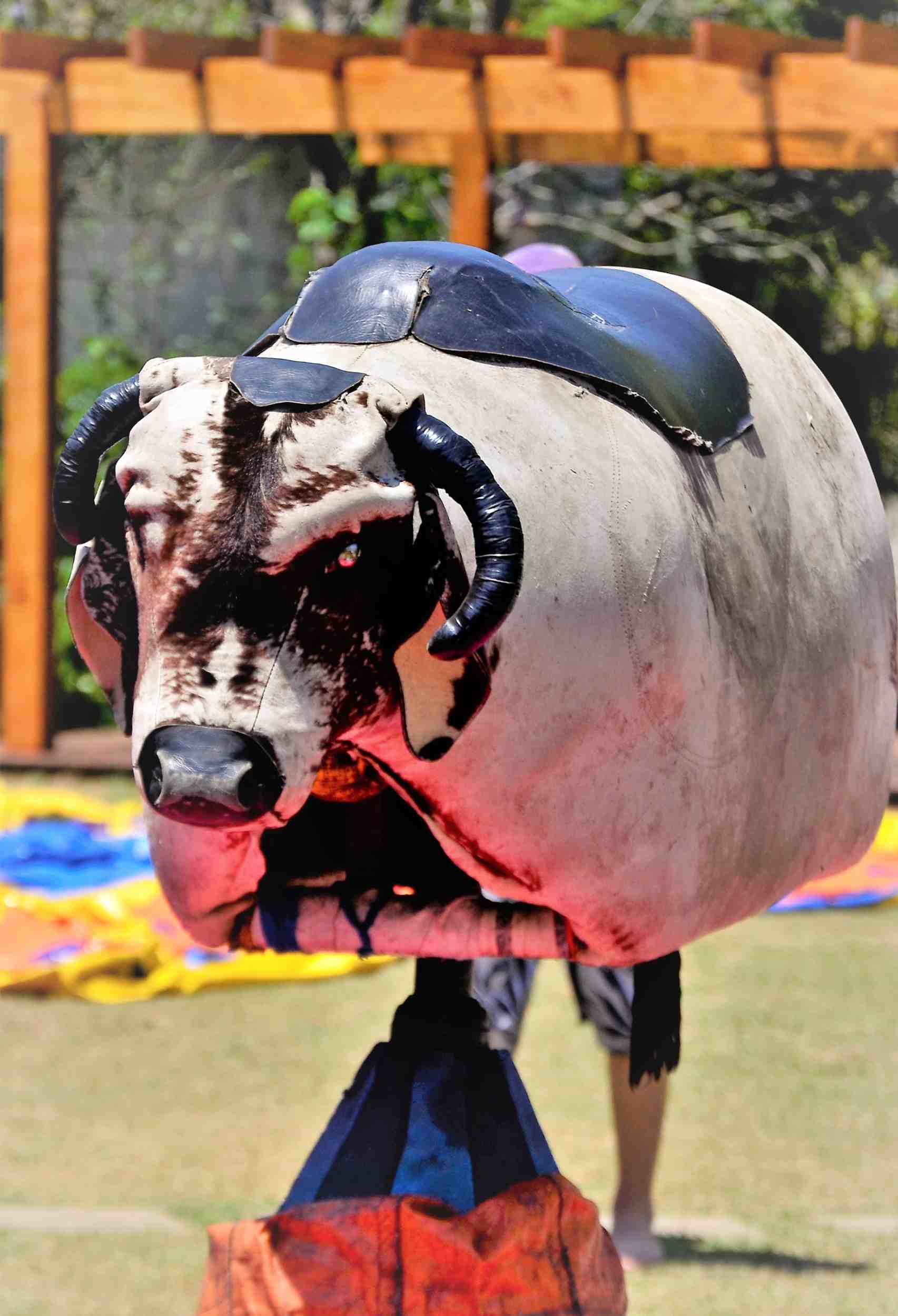 Read This Before You Buy a Mechanical Bull for Your Small Business