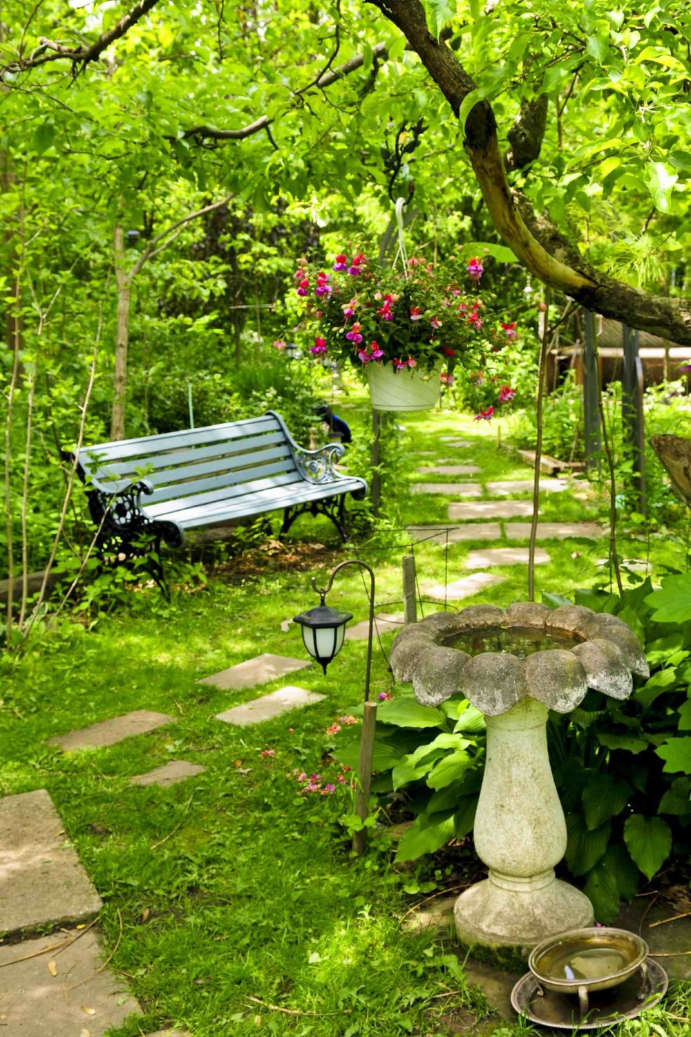 Want More Privacy in Your Garden? Try These 7 Clever Ideas