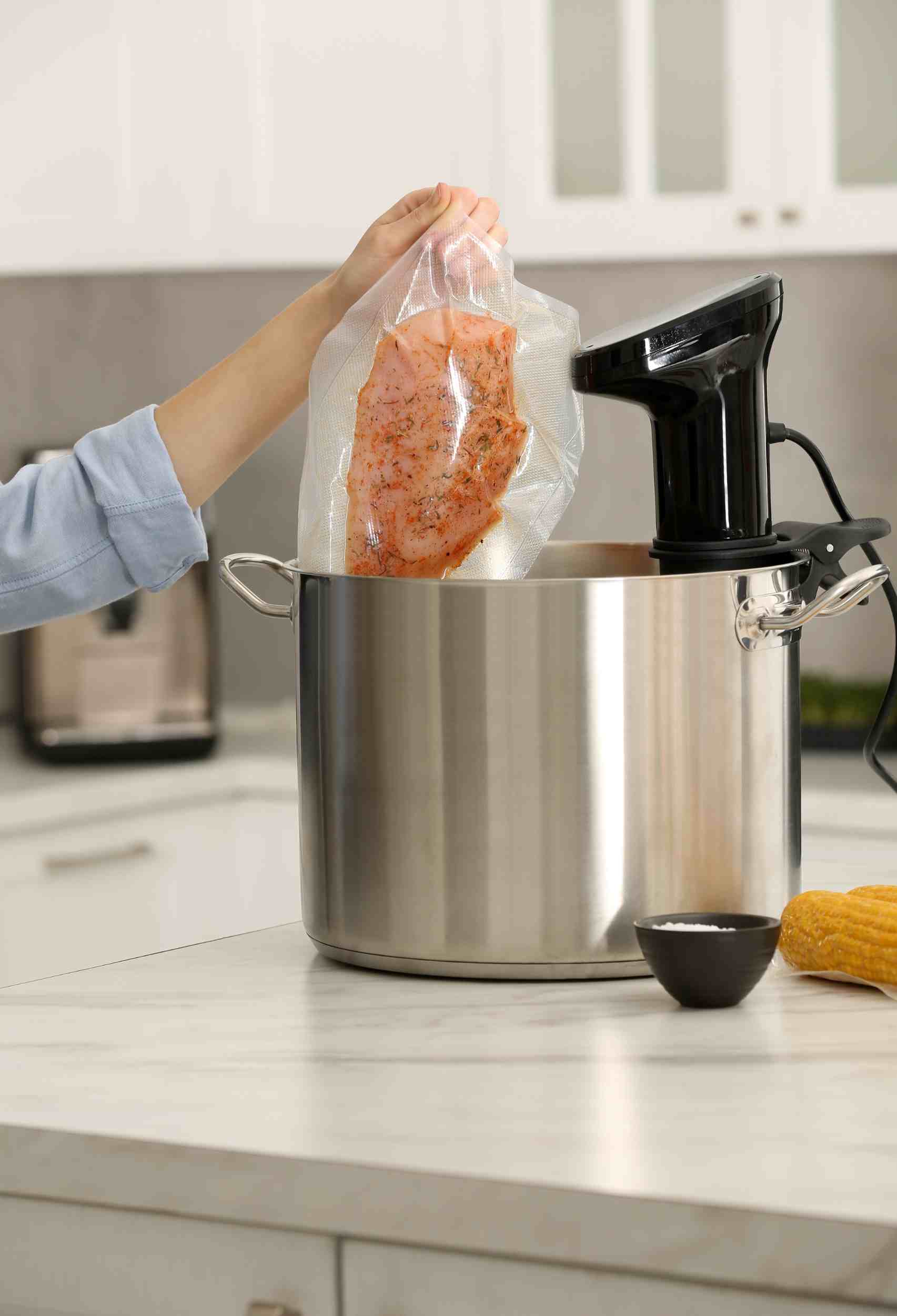 Anova Nano vs Regular: Choosing the Ideal Sous Vide Companion