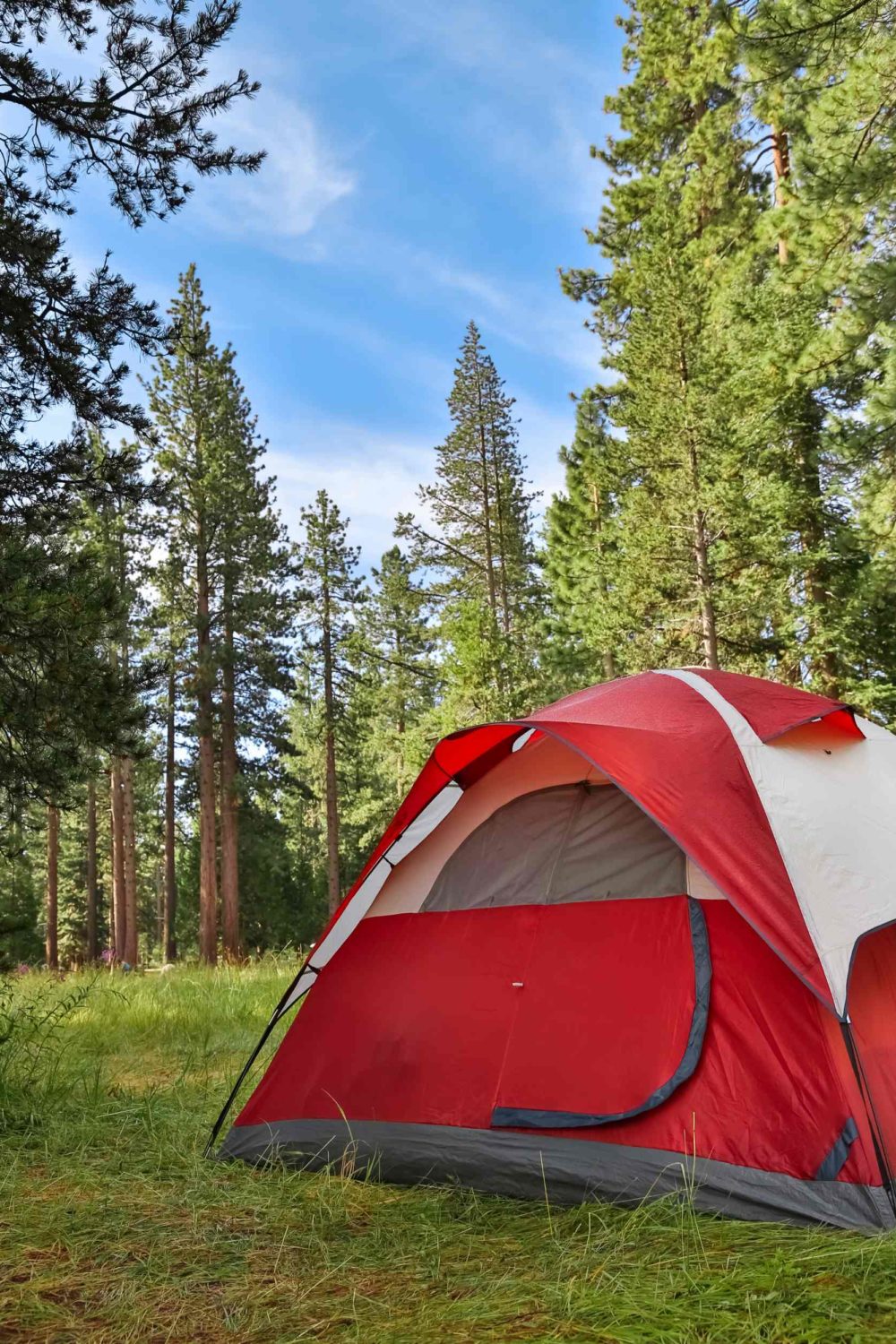 5 Essential Outdoor Camping Tips Every Beginner Needs to Read