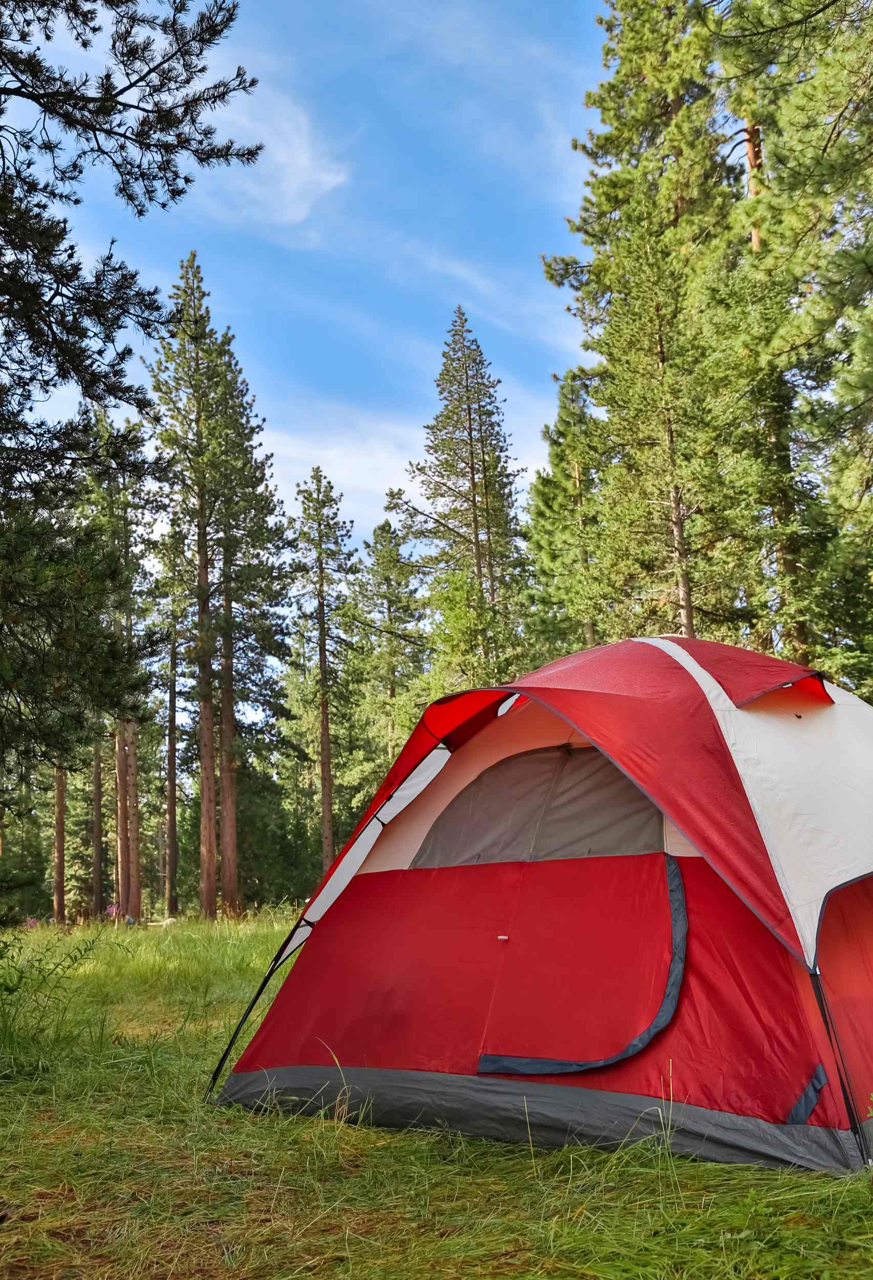 5 Essential Outdoor Camping Tips Every Beginner Needs to Read