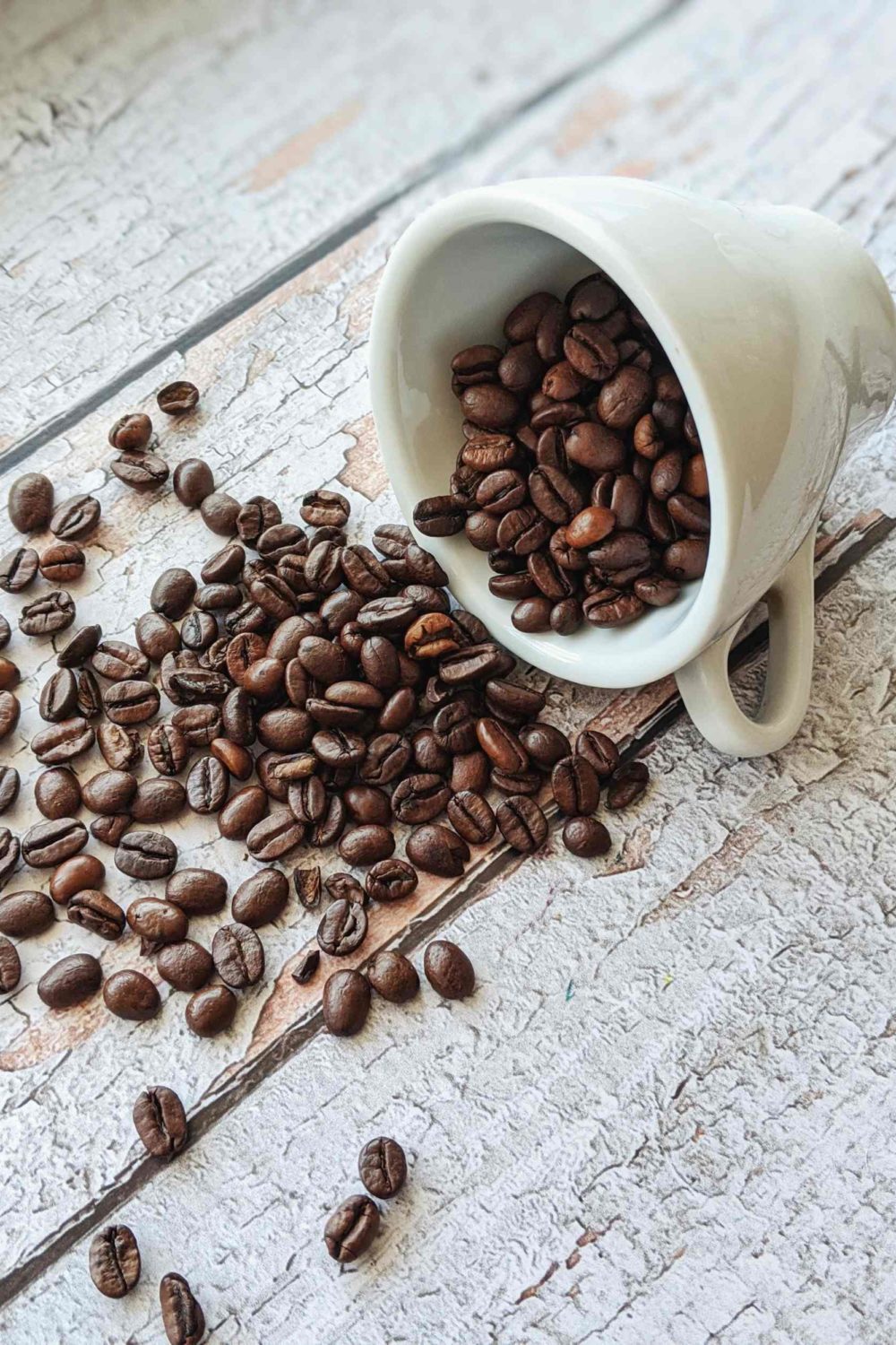 Insider Secrets How to Identify Premium Coffee in Singapore