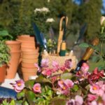 Transforming Your Outdoor Space: A Guide to Selecting the Right Gardening Supplies