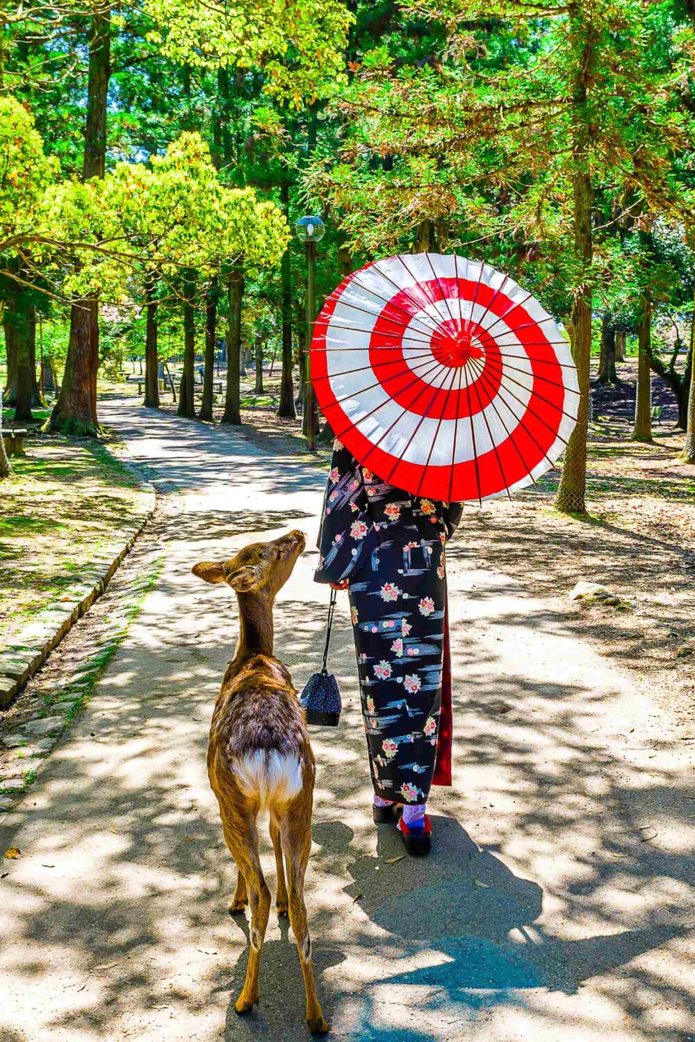 Hidden Gems of Nara Prefecture Beyond the Famous Deer Park