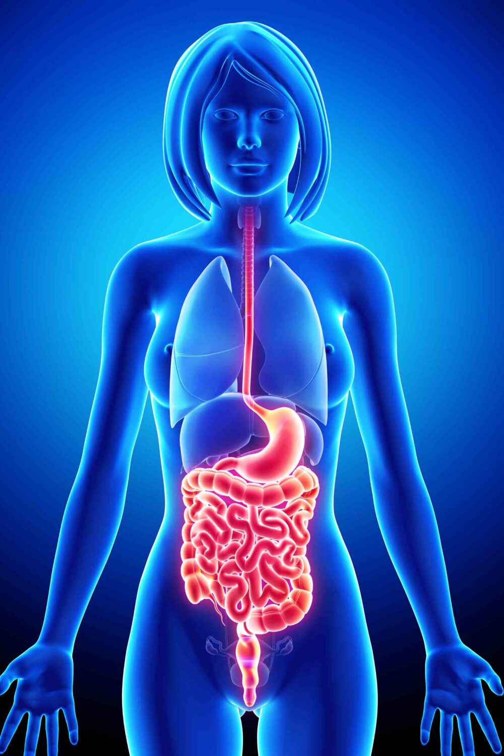 5 Signs of an Unhealthy Gut Microbiome