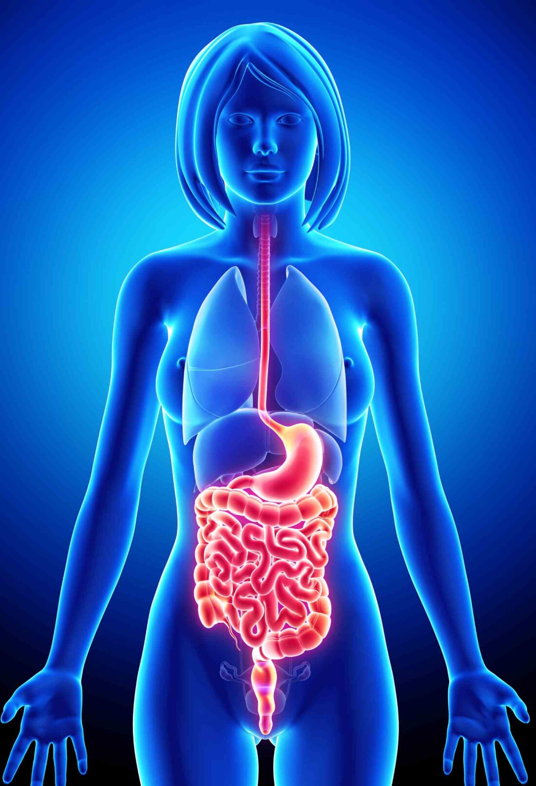 5 Signs of an Unhealthy Gut Microbiome