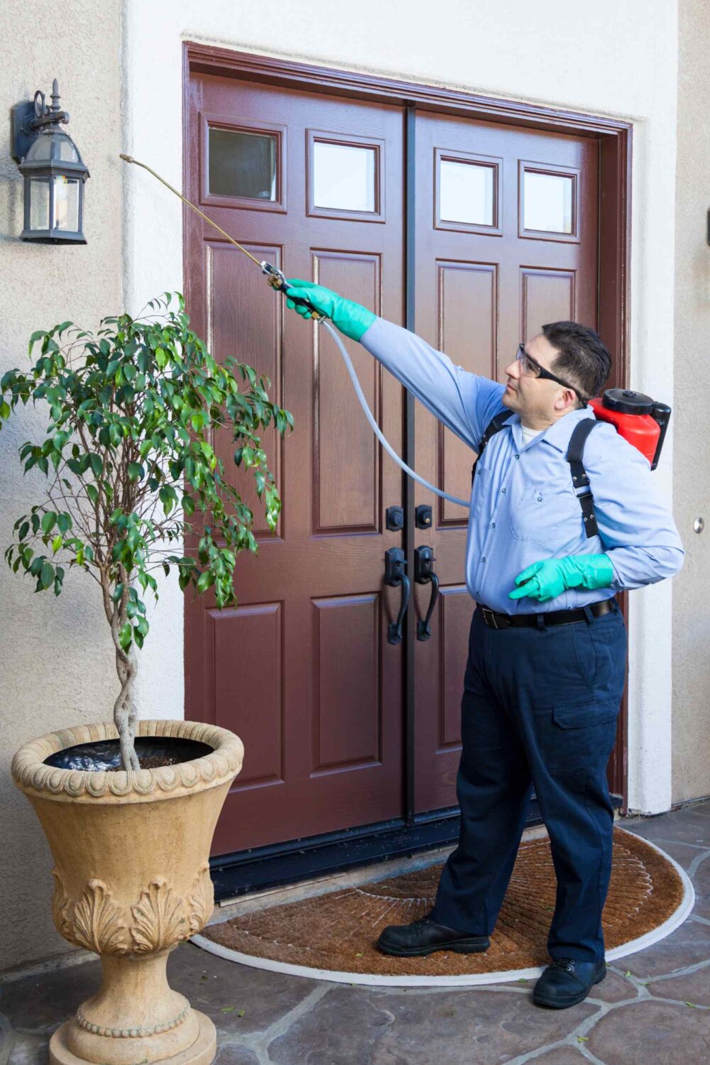 How to Choose the Right Pest Control Company: Factors to Consider