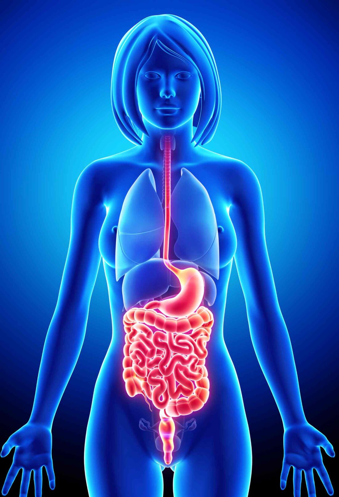 The Link Between Gut Health and Autoimmune Conditions