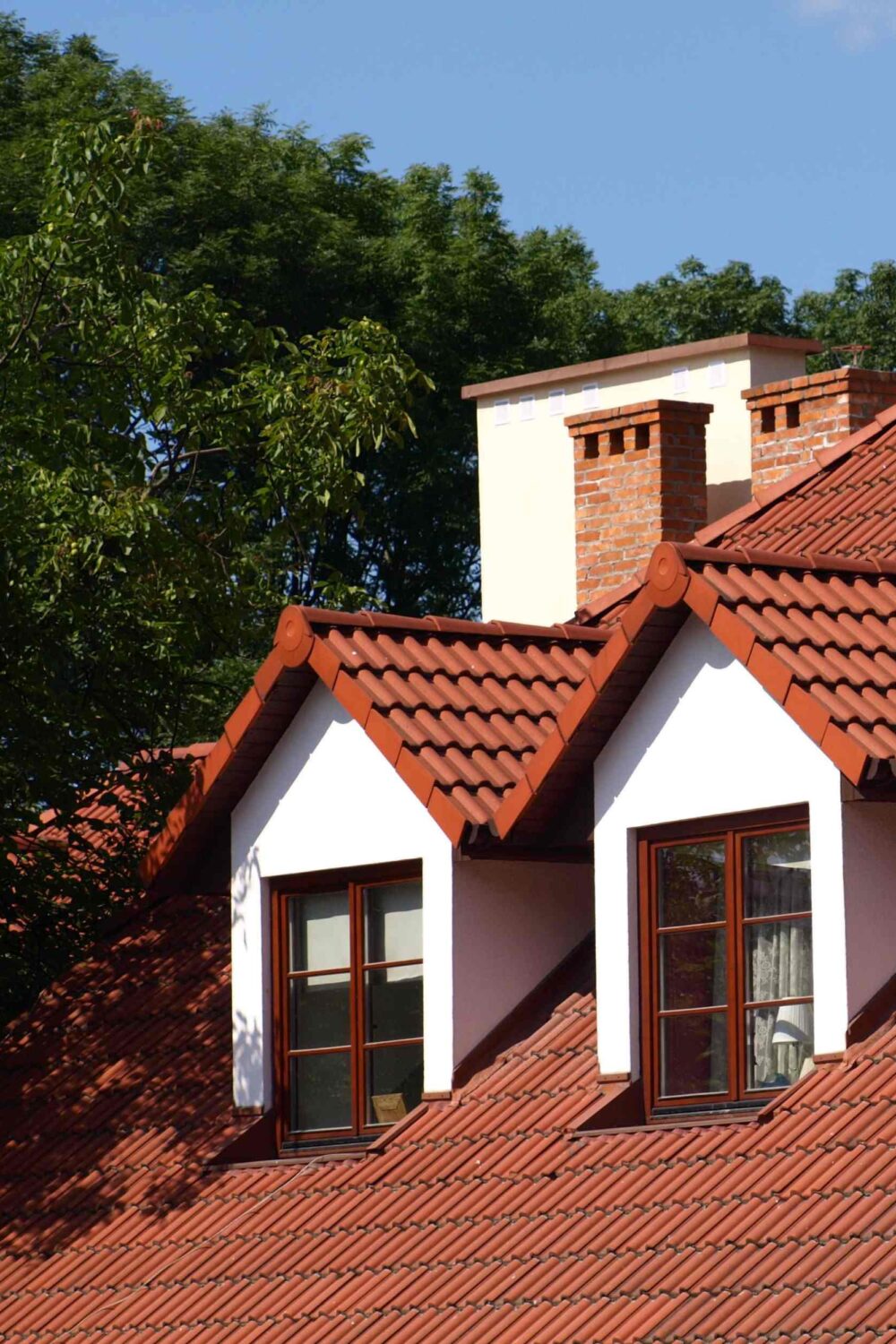 Top Roof Problems You Might Encounter and Why Professional Help Is Key