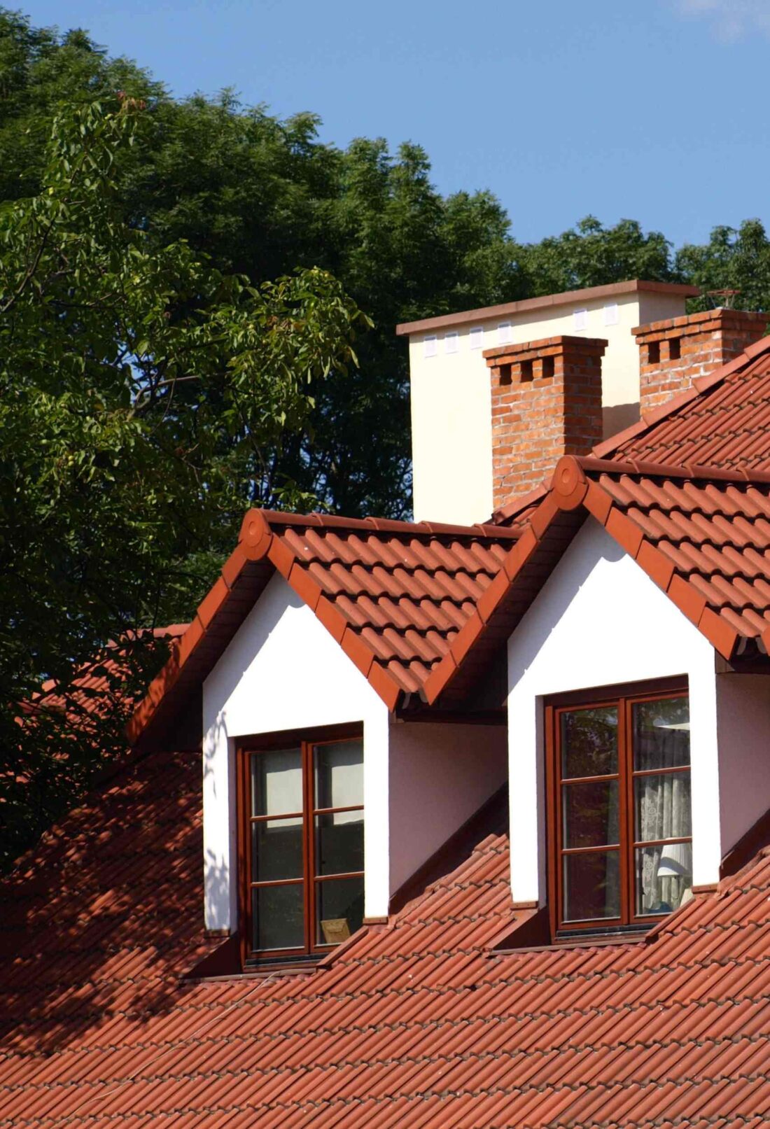 Top Roof Problems You Might Encounter and Why Professional Help Is Key