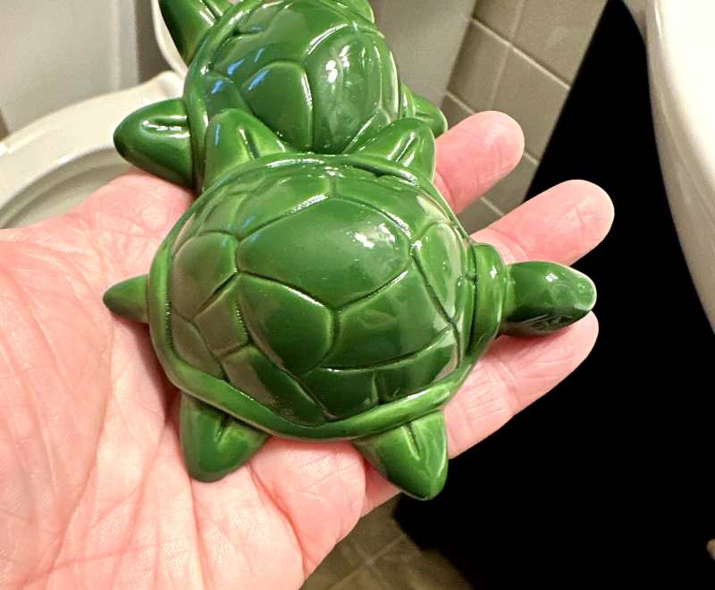 Turtles Didnt Fit