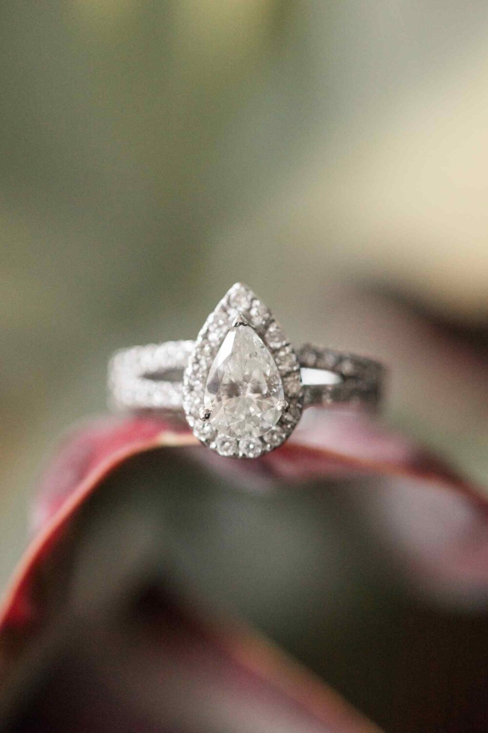 An Engagement Ring Shopping Guide