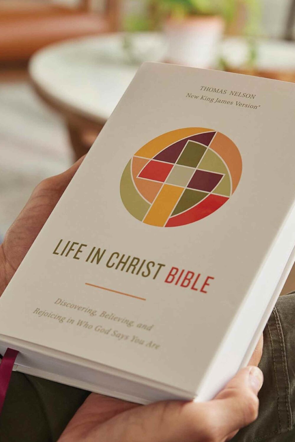 Life in Christ Bible