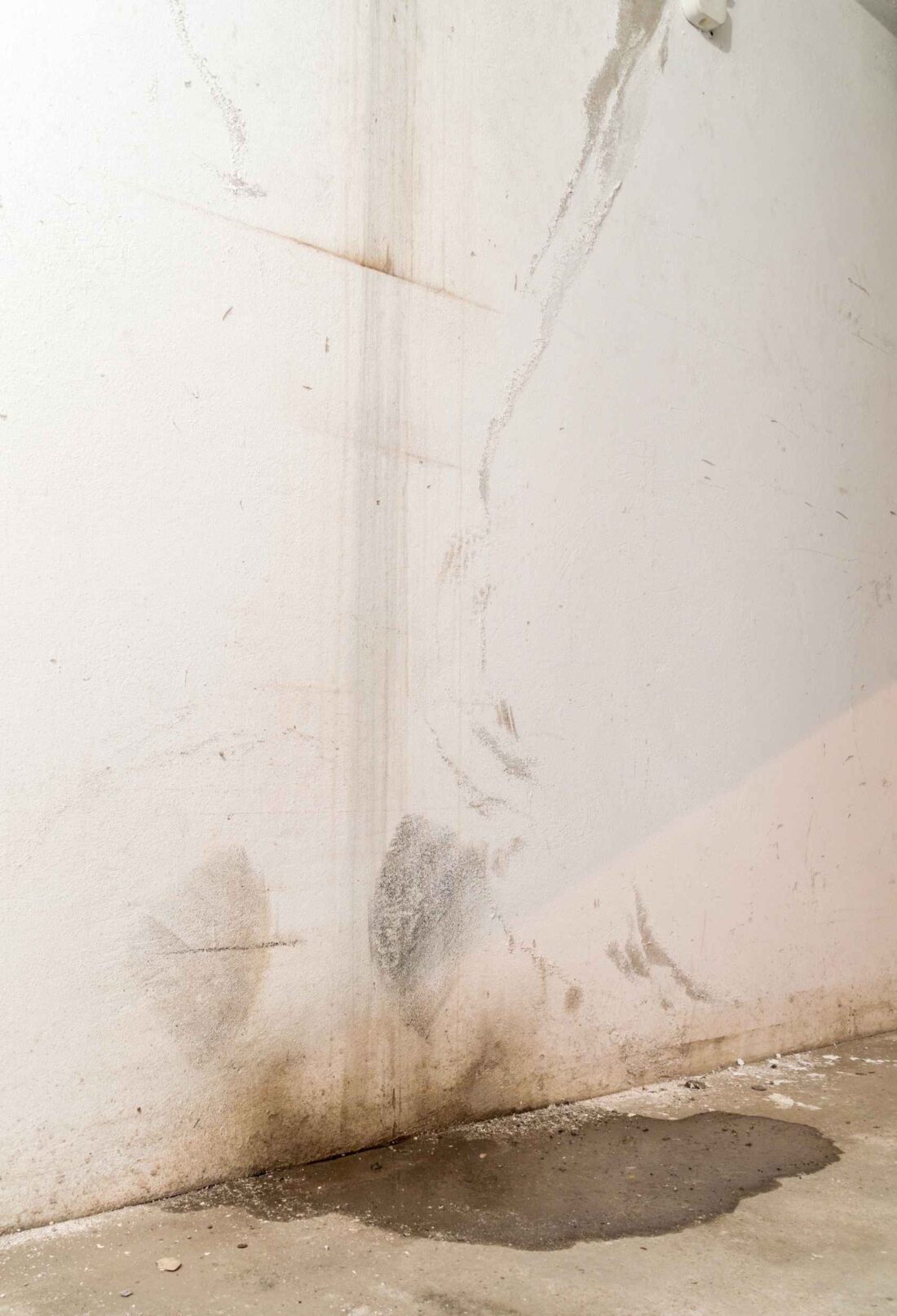 Signs of Water Damage in Your Irvine Home Detect Before It's Too Late