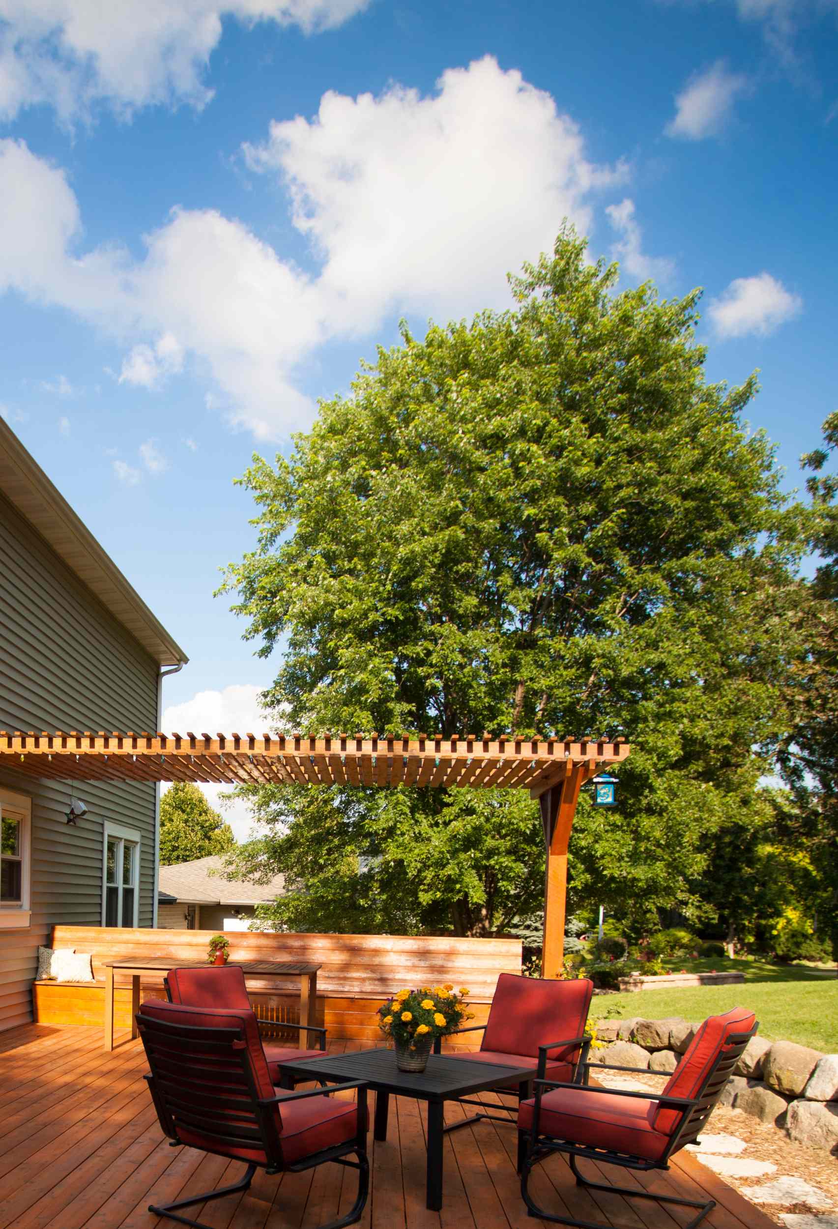 Transform Your Backyard With The Best Trees For Year-Round Natural Beauty