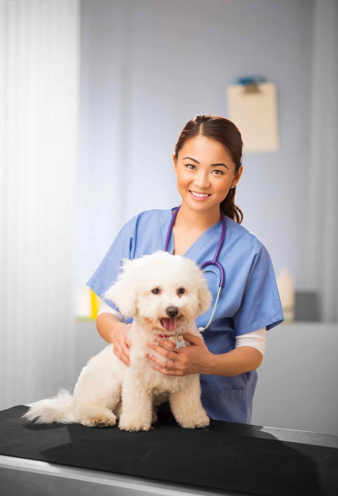 When to Go to an Urgent Care Vet