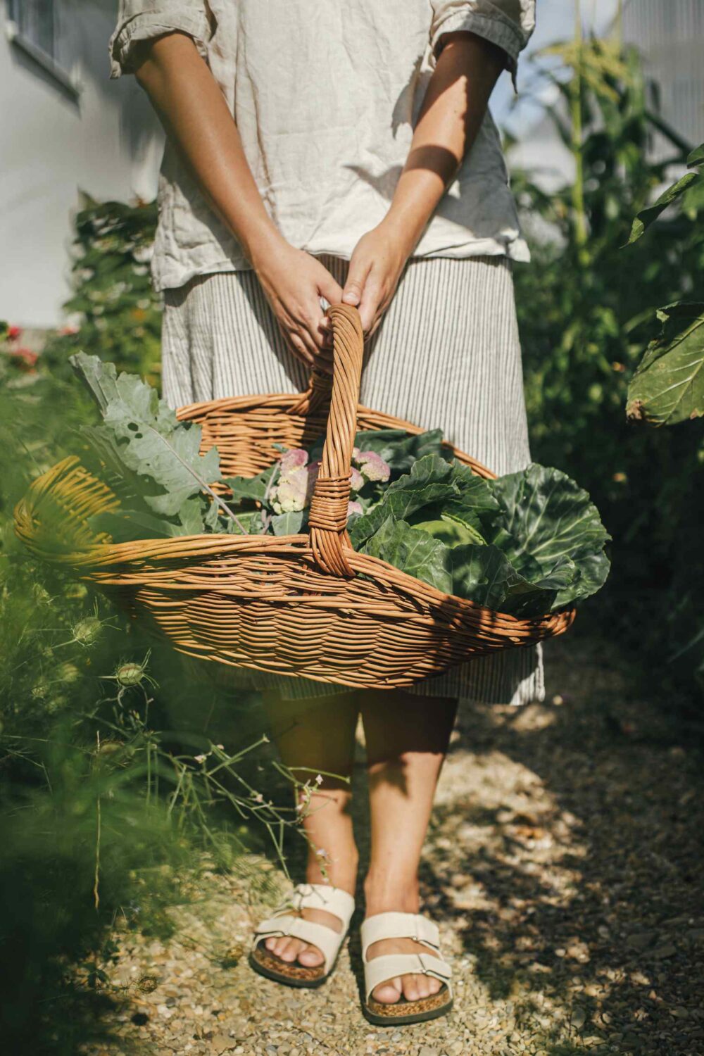 How to Start Sustainable Homesteading: Tips for a Greener, Self-Sufficient Life