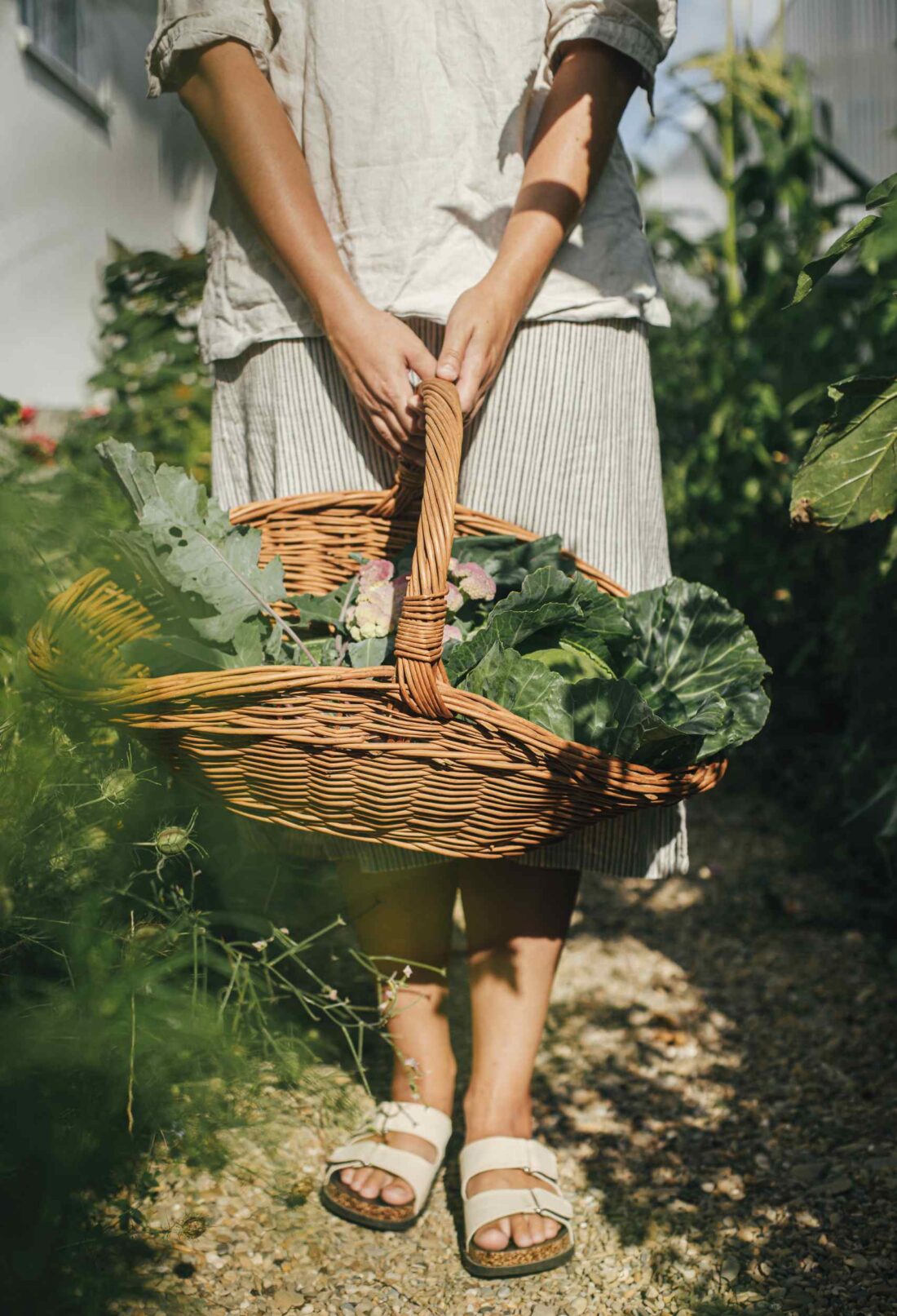 How to Start Sustainable Homesteading: Tips for a Greener, Self-Sufficient Life