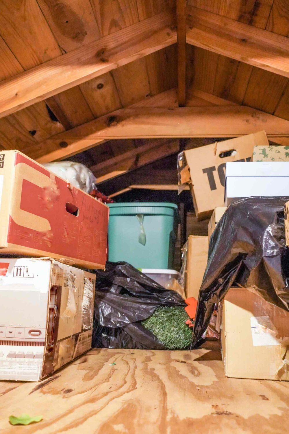 Signs You Need Attic Cleaning Right Now