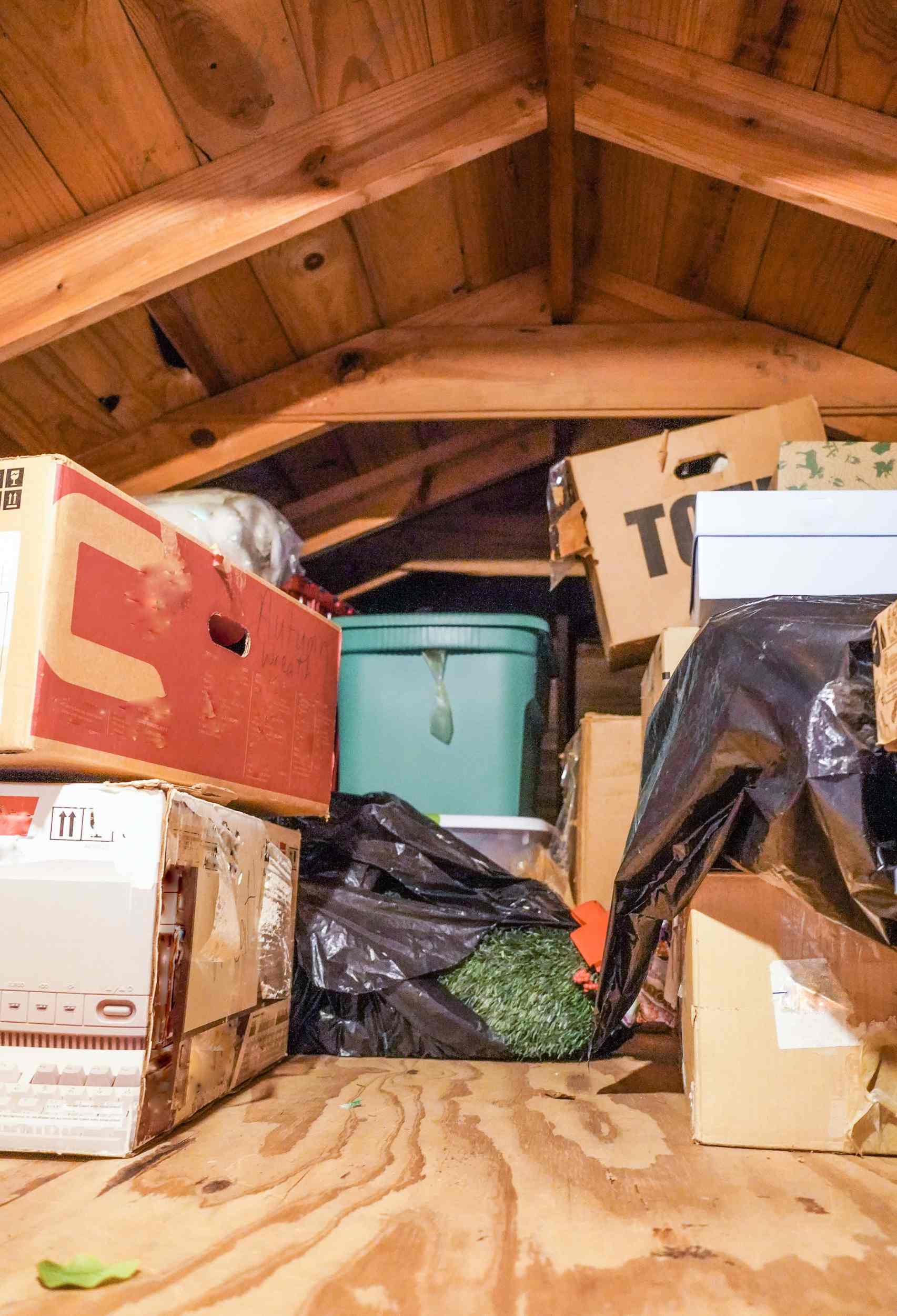 Signs You Need Attic Cleaning Right Now