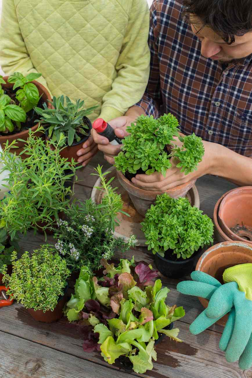 Rooted in Nature: Wellness Benefits of Local Herbs