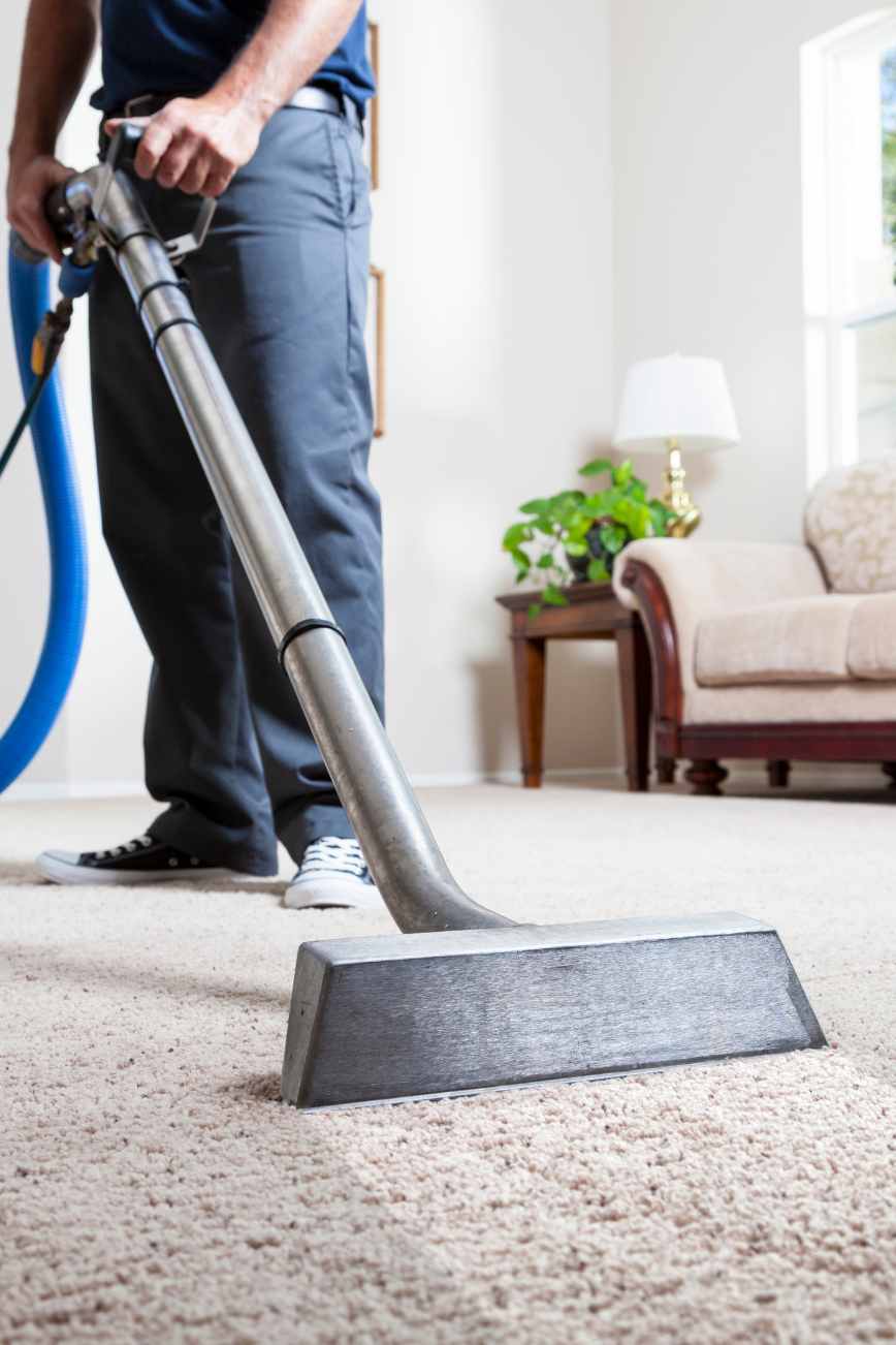 What to Expect from Professional Carpet Cleaning Services in Grand Forks