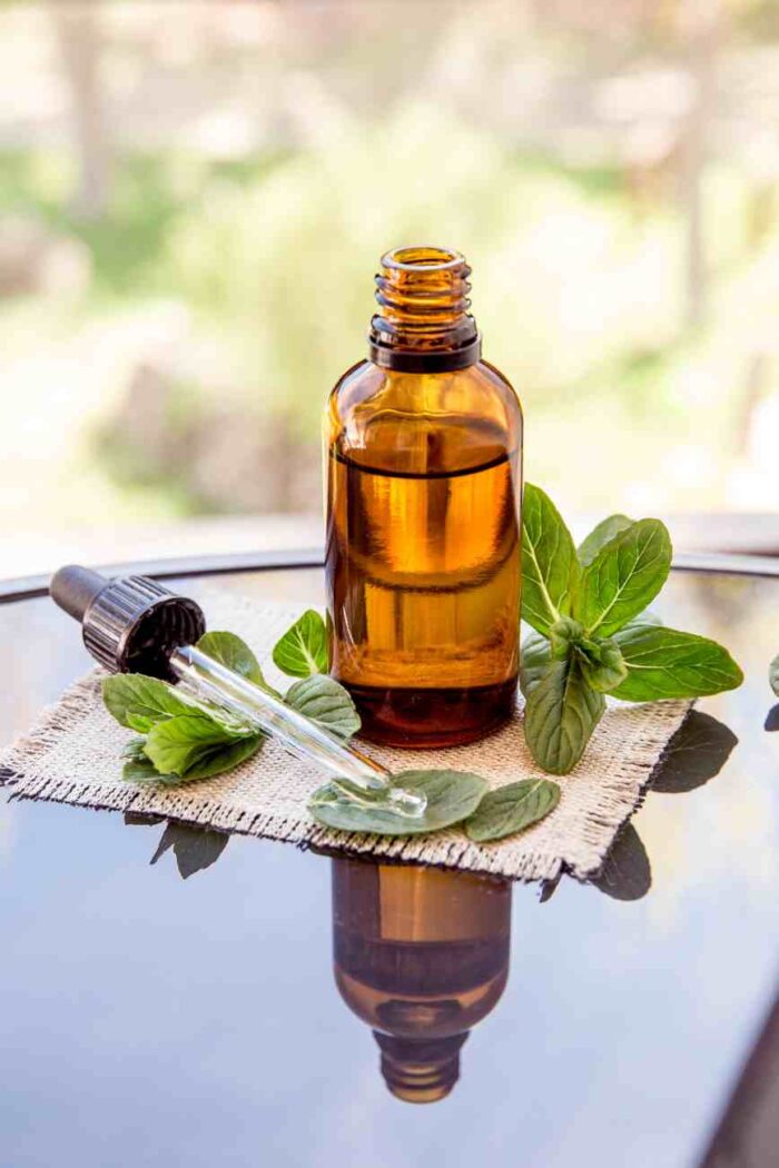 How Effective Is Peppermint Oil for Eliminating Mice and When to Hire a Professional Service