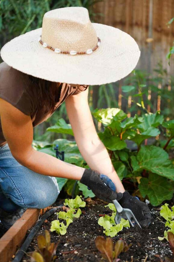 Gardening with a Southern Twist (and a Sense of Humor)