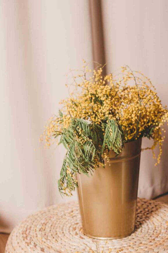 Life Lately – March 2025 Month in Review