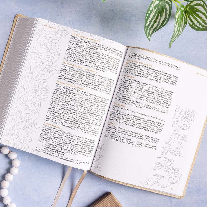 CSB Illustrator's Notetaking Bible Be Alert