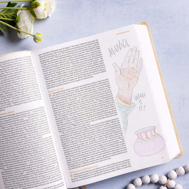 CSB Illustrator's Notetaking Bible Manna