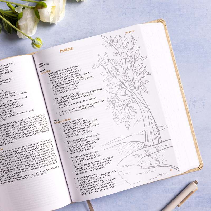CSB Illustrator's Notetaking Bible Psalms