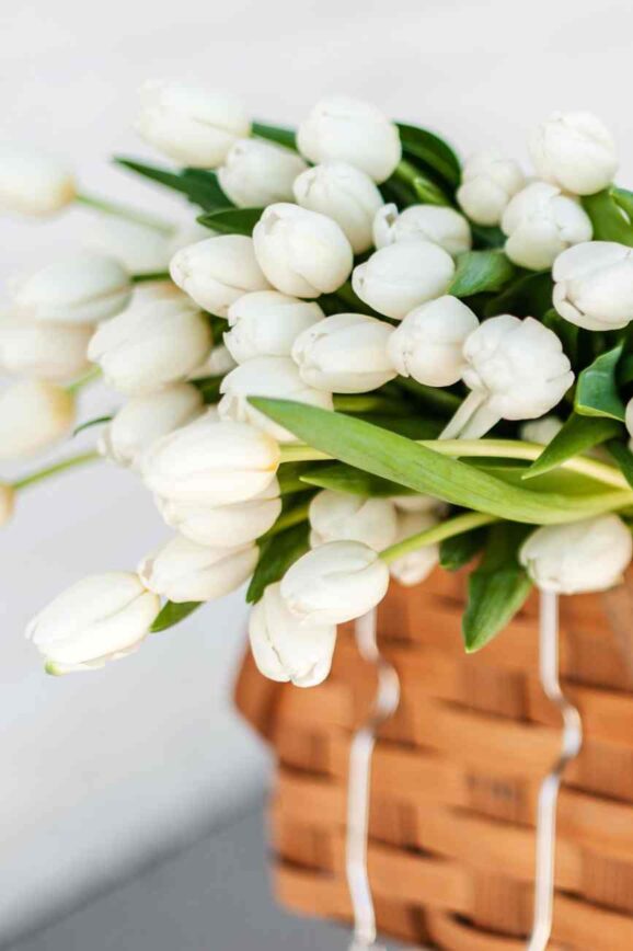 Friday Conversations - April 4, 2024