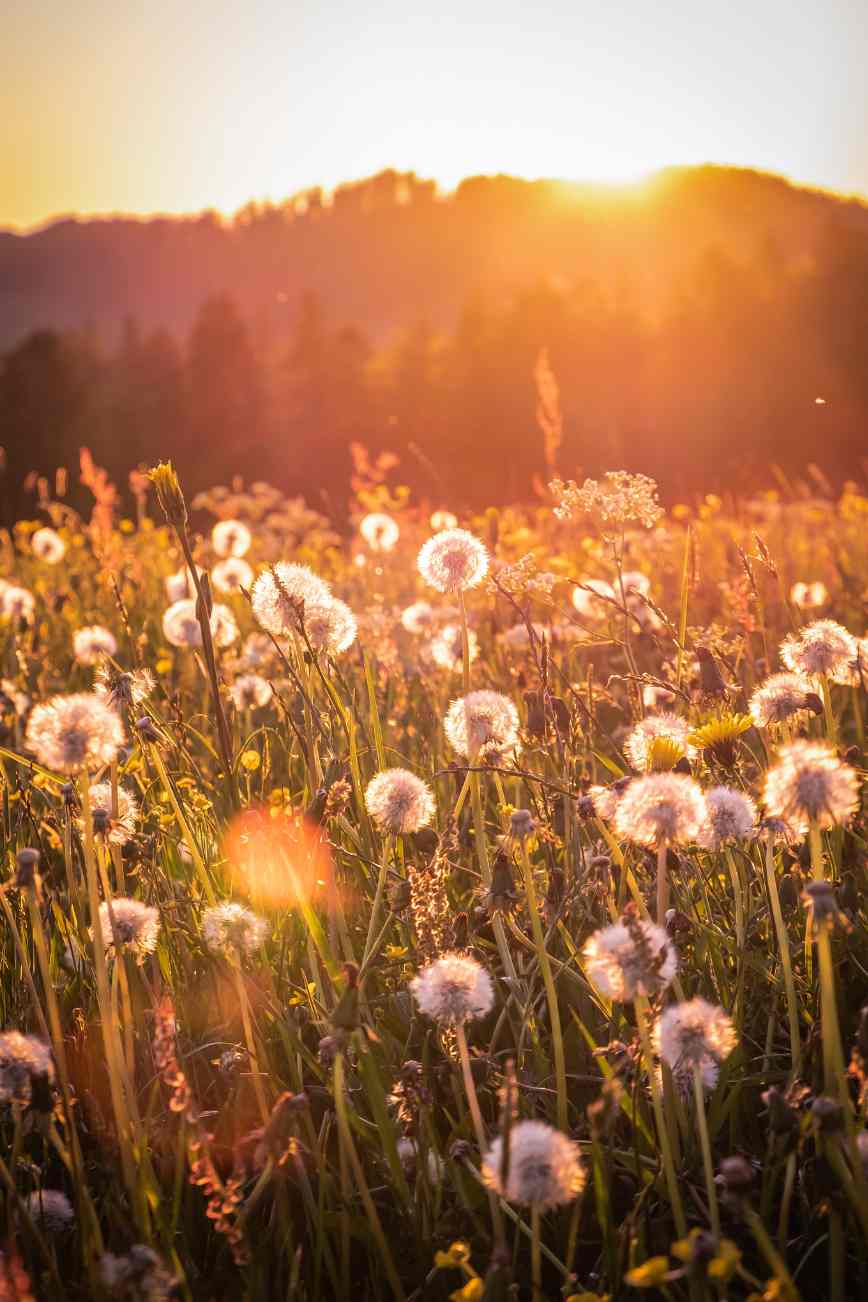 Life Lately – April 2025 Month in Review