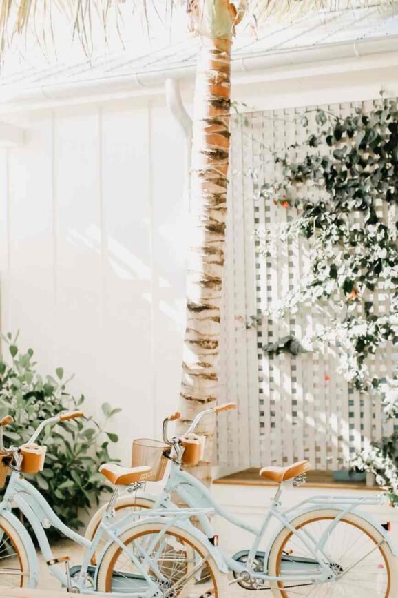 Friday Conversations - May 16, 2025