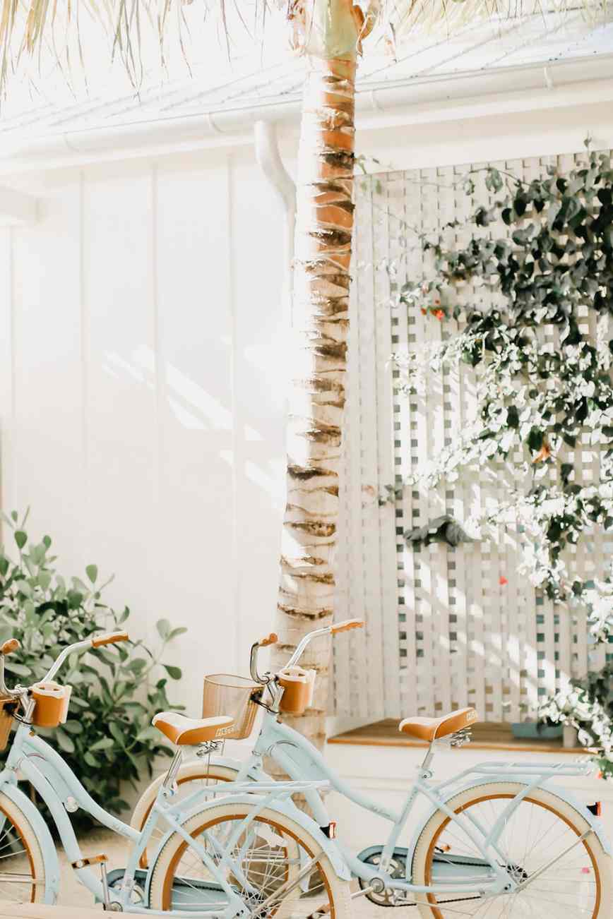 Friday Conversations - May 16, 2025