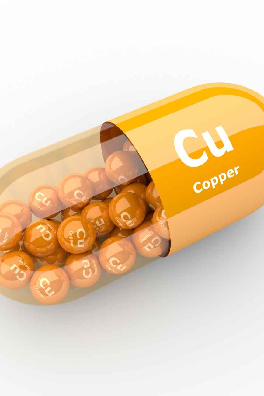 Copper Supplements: Their Role in Modern Wellness