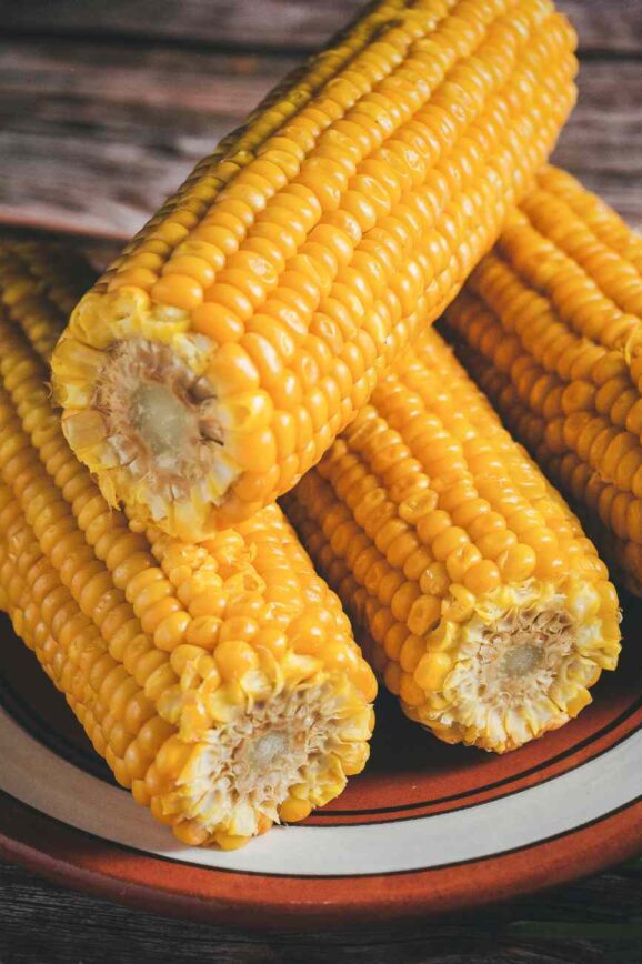 Sweet Corn Recipes for Summer Nights